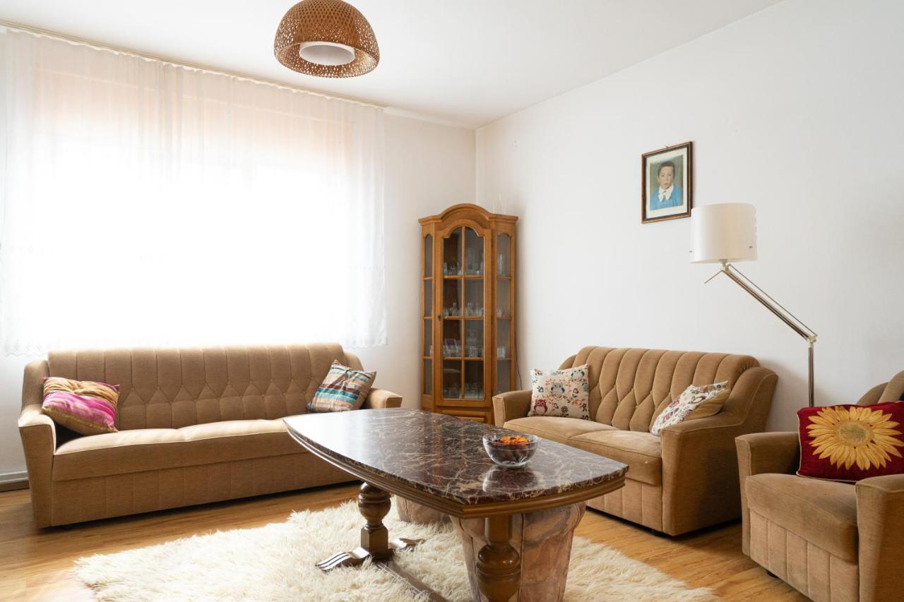 Generous Family Home Viseu de Sus Exterior photo
