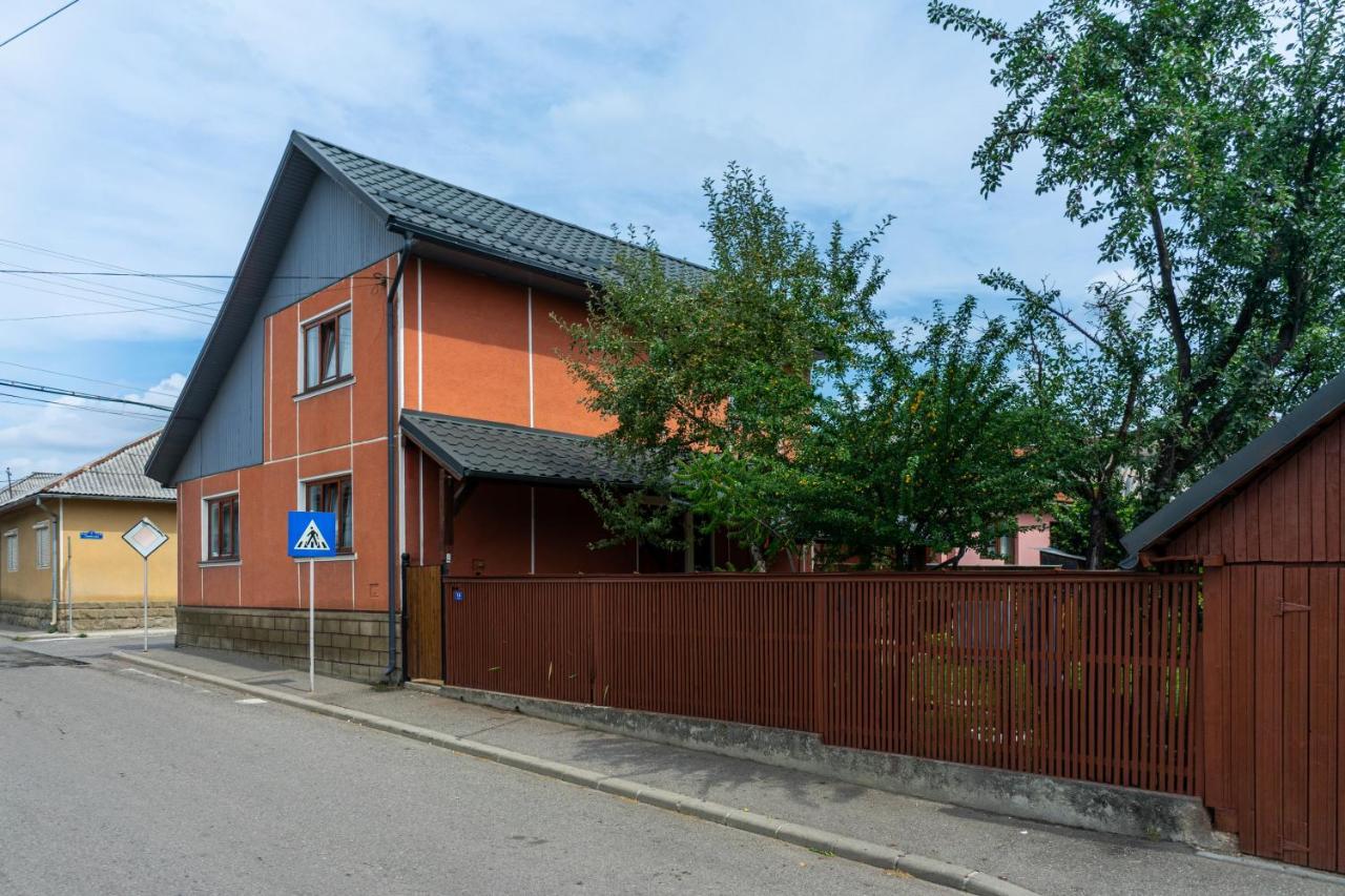 Generous Family Home Viseu de Sus Exterior photo